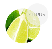 CITRUS